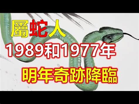 1989 屬蛇